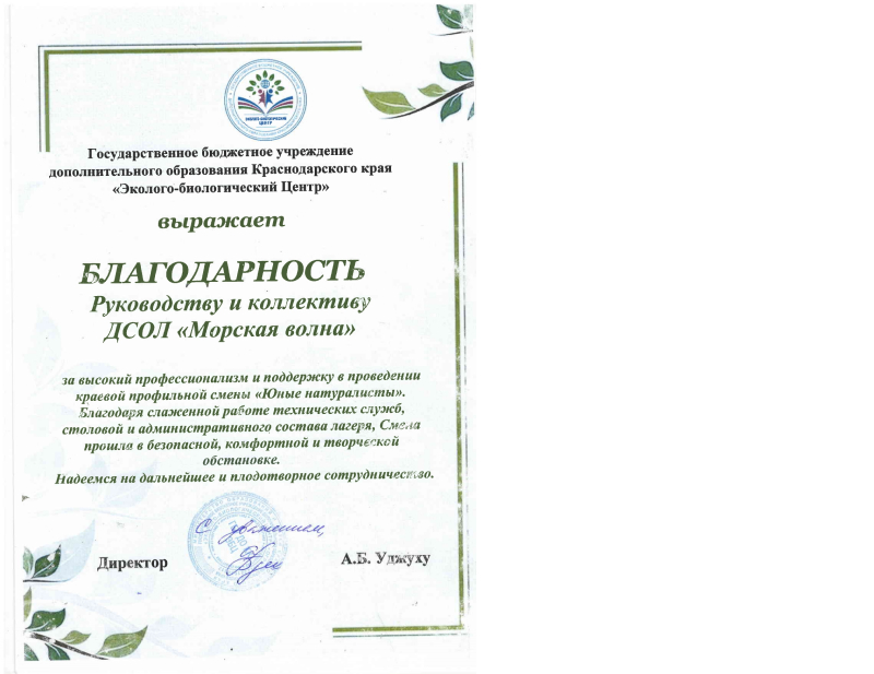 ГБУДО 